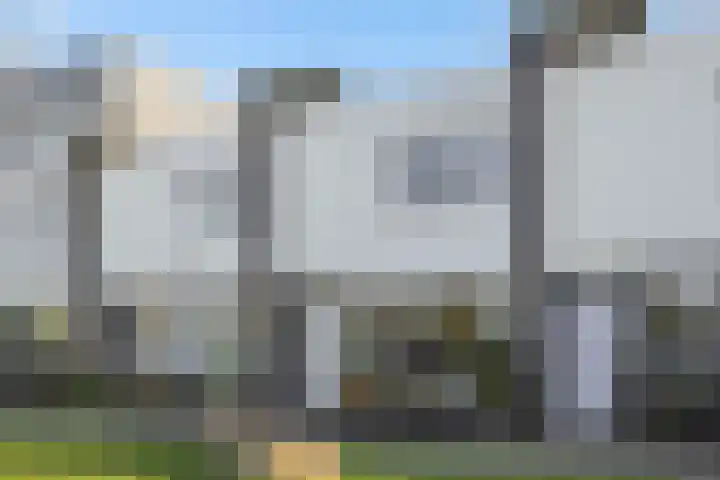 Weegbree 55 's-Hertogenbosch thumbnail 6