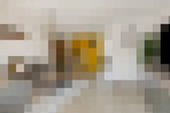 Weegbree 55 's-Hertogenbosch thumbnail 8