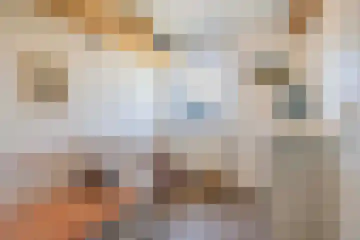 Weegbree 56 Veenendaal thumbnail 13