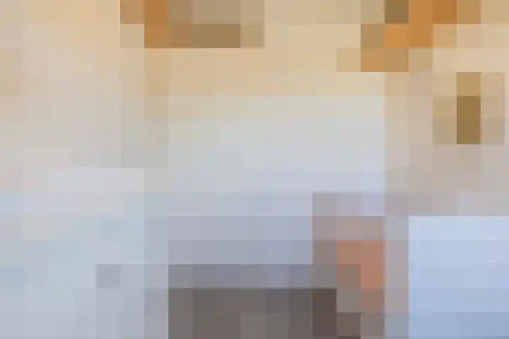 Weegbree 56 Veenendaal thumbnail 14