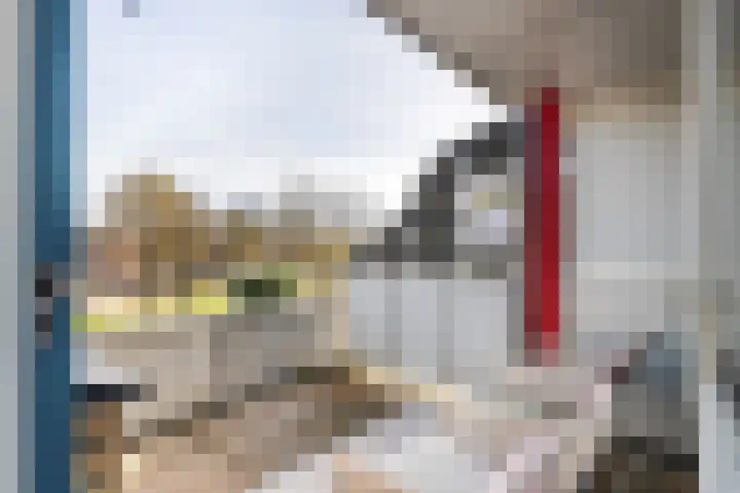 Weegbree 56 Veenendaal thumbnail 15