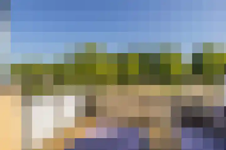 Weegbree 56 Veenendaal thumbnail 20