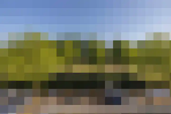 Weegbree 56 Veenendaal thumbnail 21