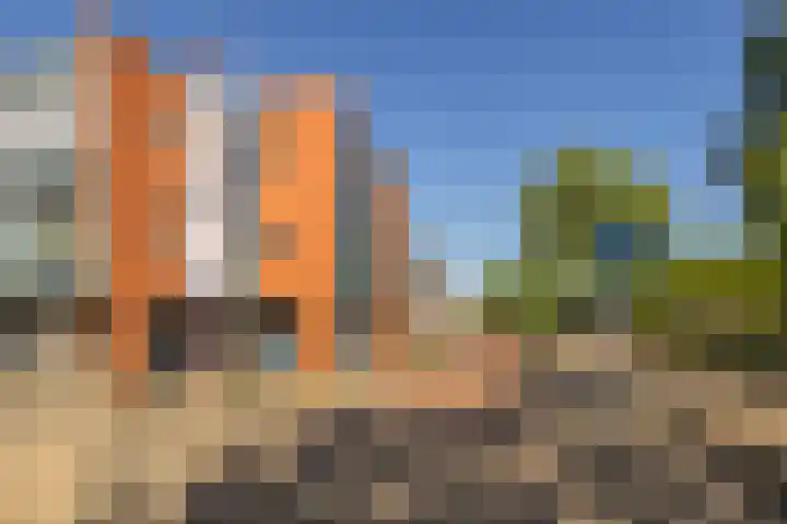 Weegbree 56 Veenendaal thumbnail 25
