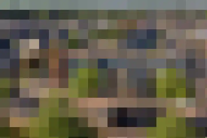 Weegbree 56 Veenendaal thumbnail 27