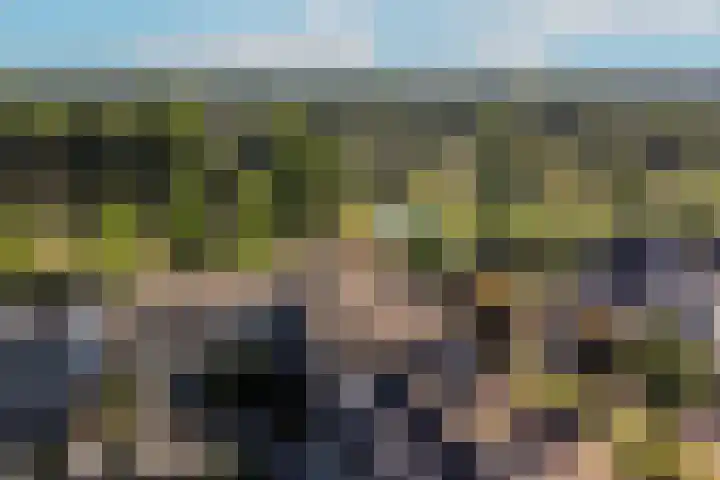 Weegbree 56 Veenendaal thumbnail 28