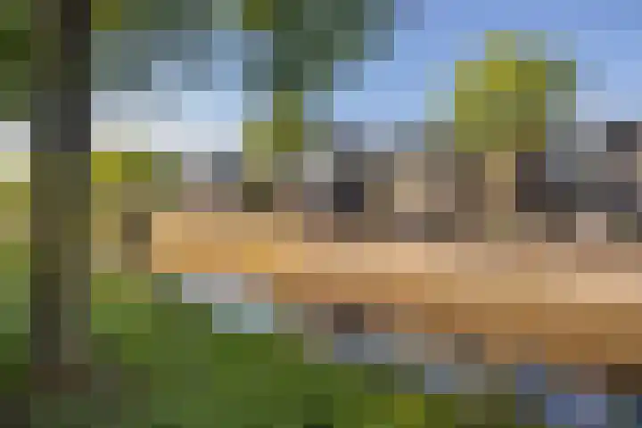 Weegbree 56 Veenendaal thumbnail 29