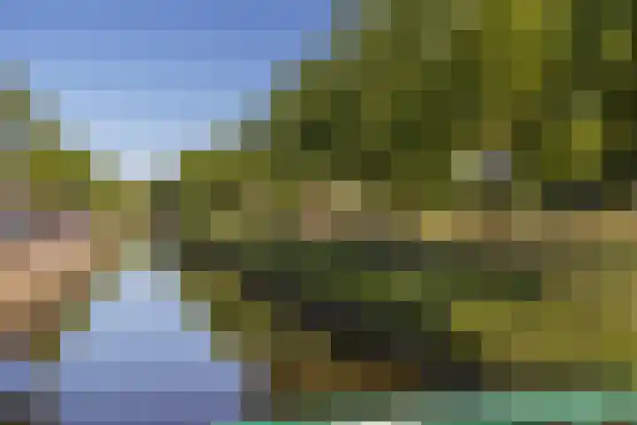 Weegbree 56 Veenendaal thumbnail 30