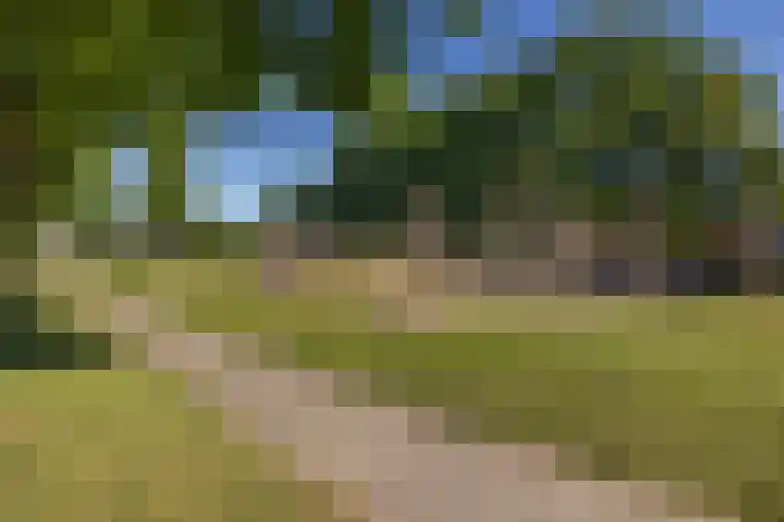 Weegbree 56 Veenendaal thumbnail 31