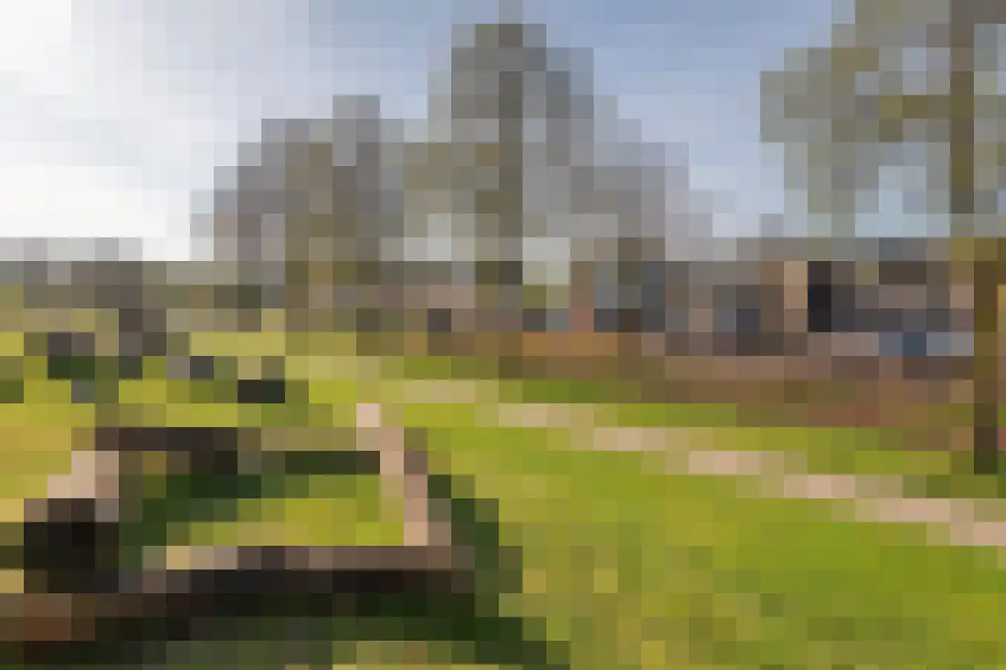 Weegbree 56 Veenendaal thumbnail 32