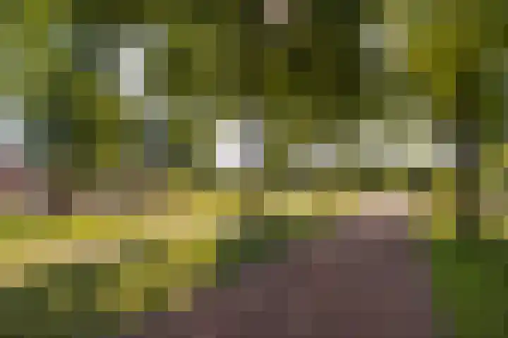 Weegbree 56 Veenendaal thumbnail 32