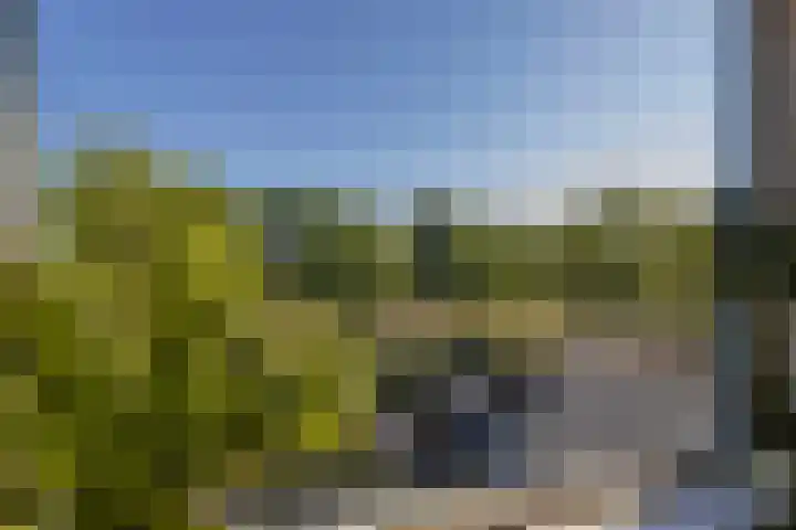 Weegbree 56 Veenendaal thumbnail 4