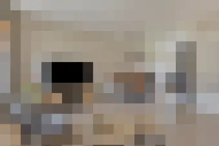 Weegbree 57 Zetten thumbnail 10