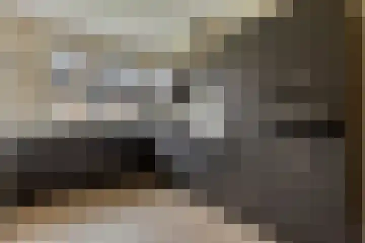Weegbree 57 Zetten thumbnail 11