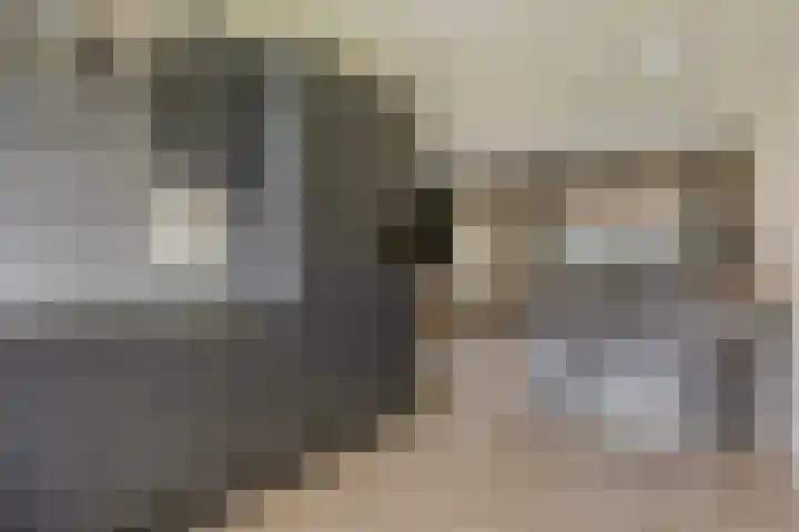 Weegbree 57 Zetten thumbnail 12