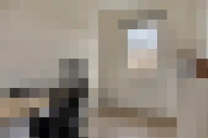 Weegbree 57 Zetten thumbnail 15
