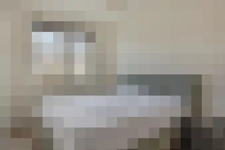 Weegbree 57 Zetten thumbnail 17