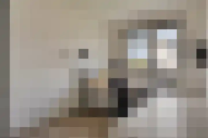 Weegbree 57 Zetten thumbnail 19