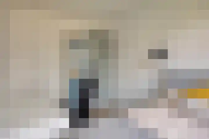 Weegbree 57 Zetten thumbnail 20