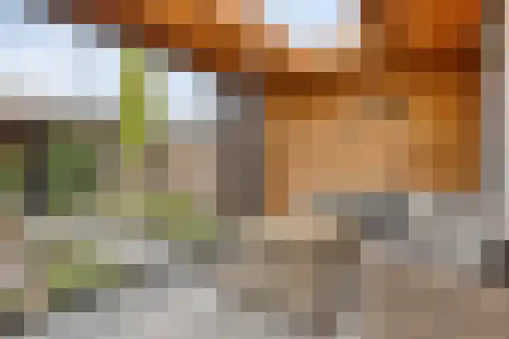 Weegbree 57 Zetten thumbnail 29