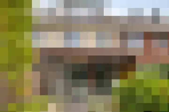 Weegbree 57 Zetten thumbnail 30