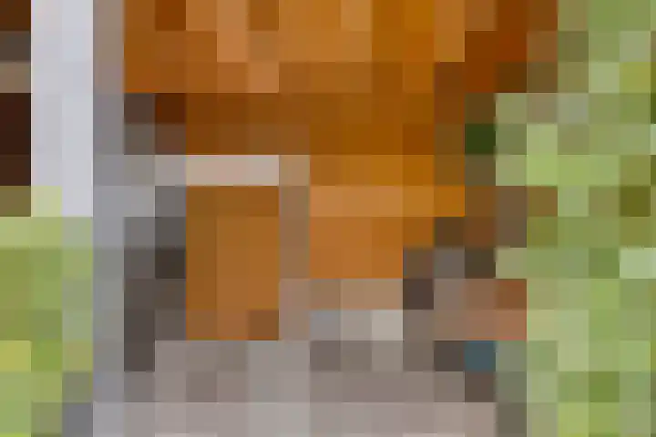 Weegbree 57 Zetten thumbnail 33