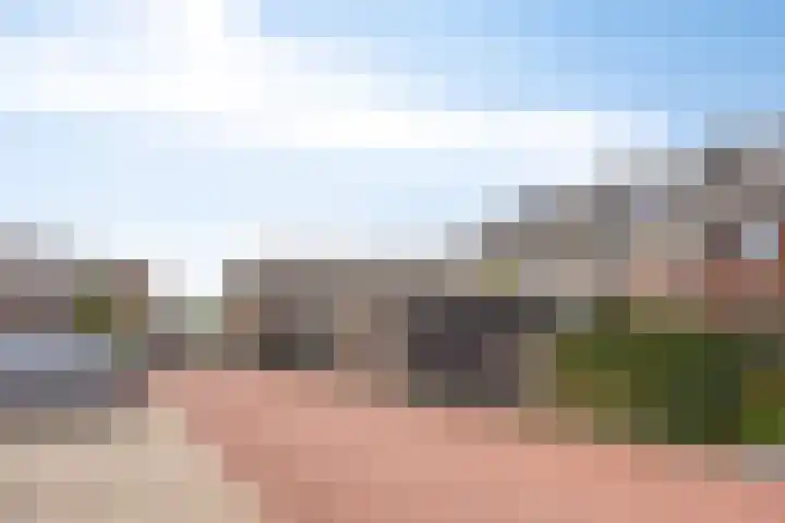Weegbree 57 Zetten thumbnail 35
