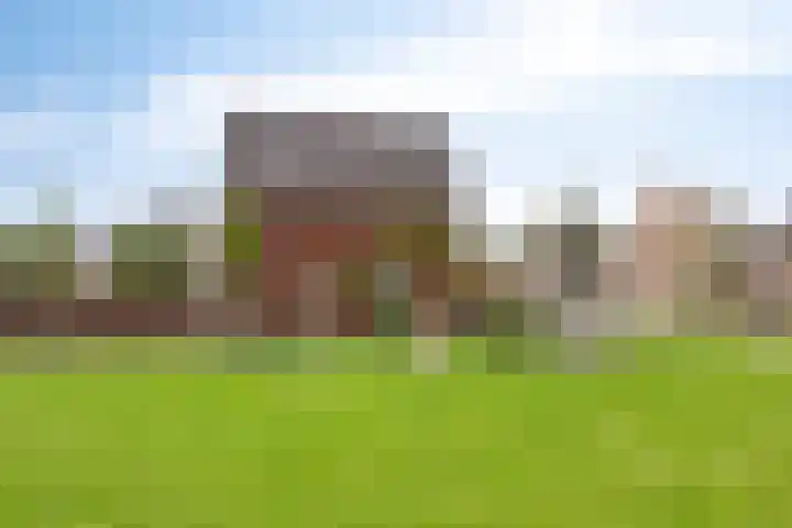 Weegbree 57 Zetten thumbnail 36