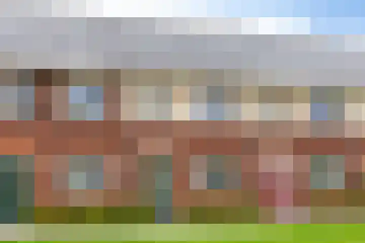Weegbree 57 Zetten thumbnail 5