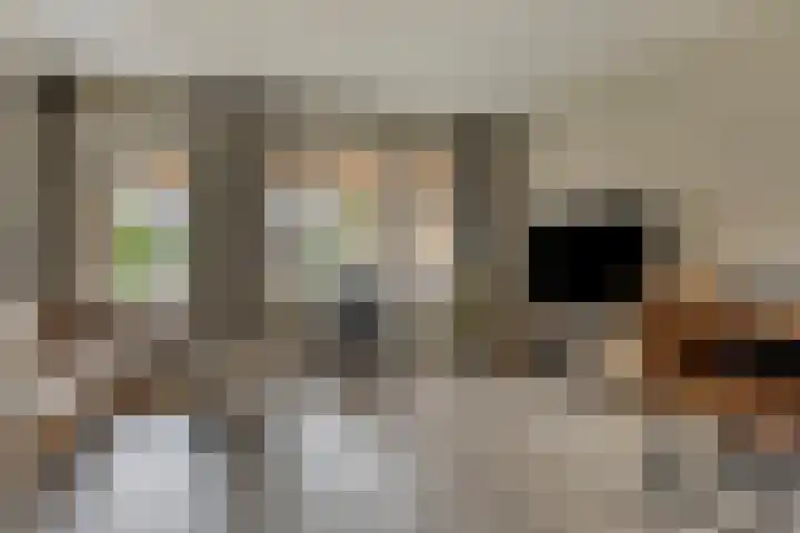 Weegbree 57 Zetten thumbnail 7
