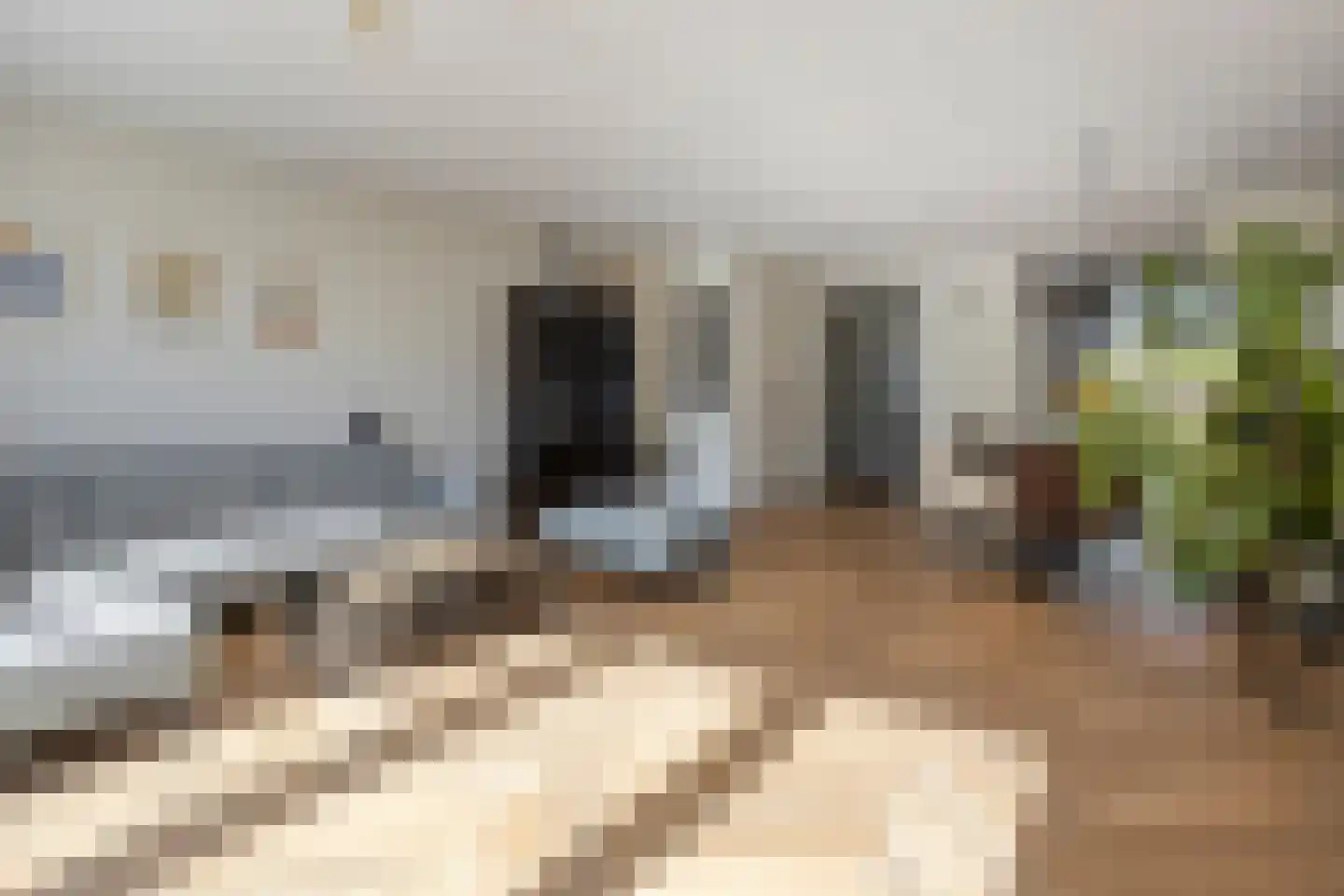 Weegbree 58 Zetten thumbnail 15