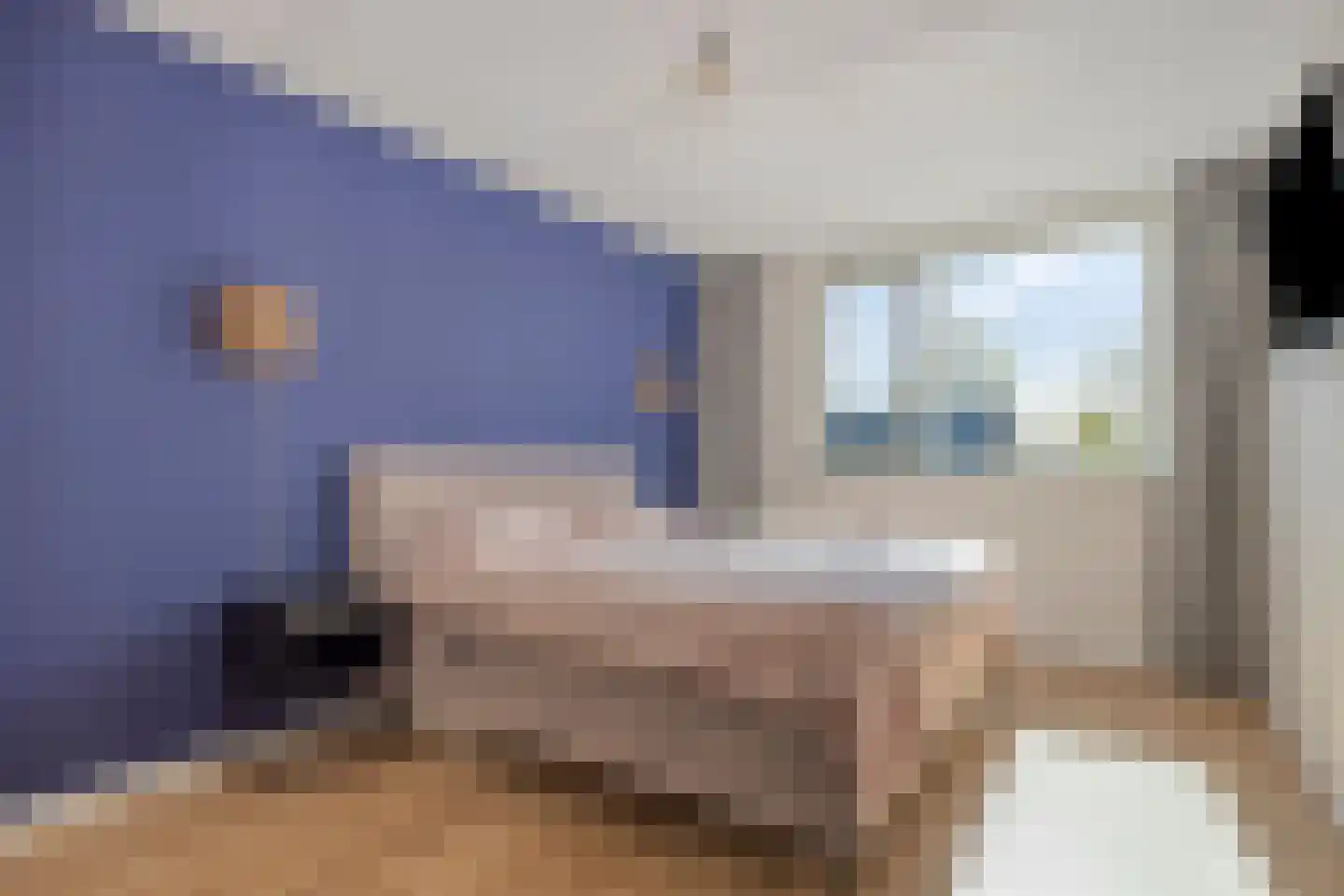 Weegbree 58 Zetten thumbnail 26