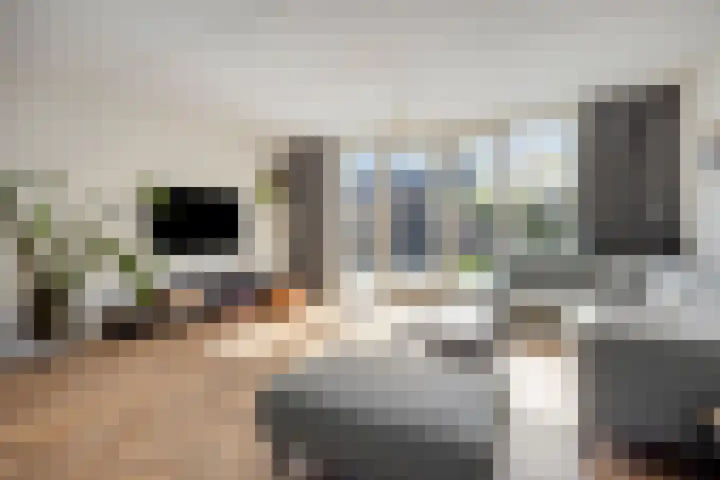 Weegbree 58 Zetten foto 3