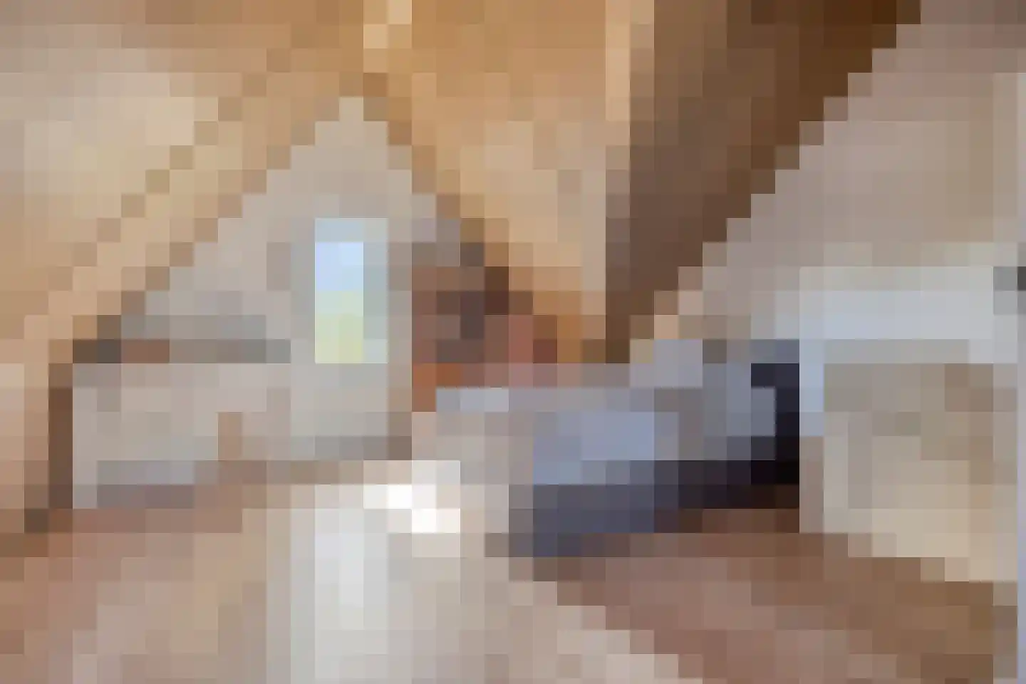 Weegbree 58 Zetten thumbnail 32