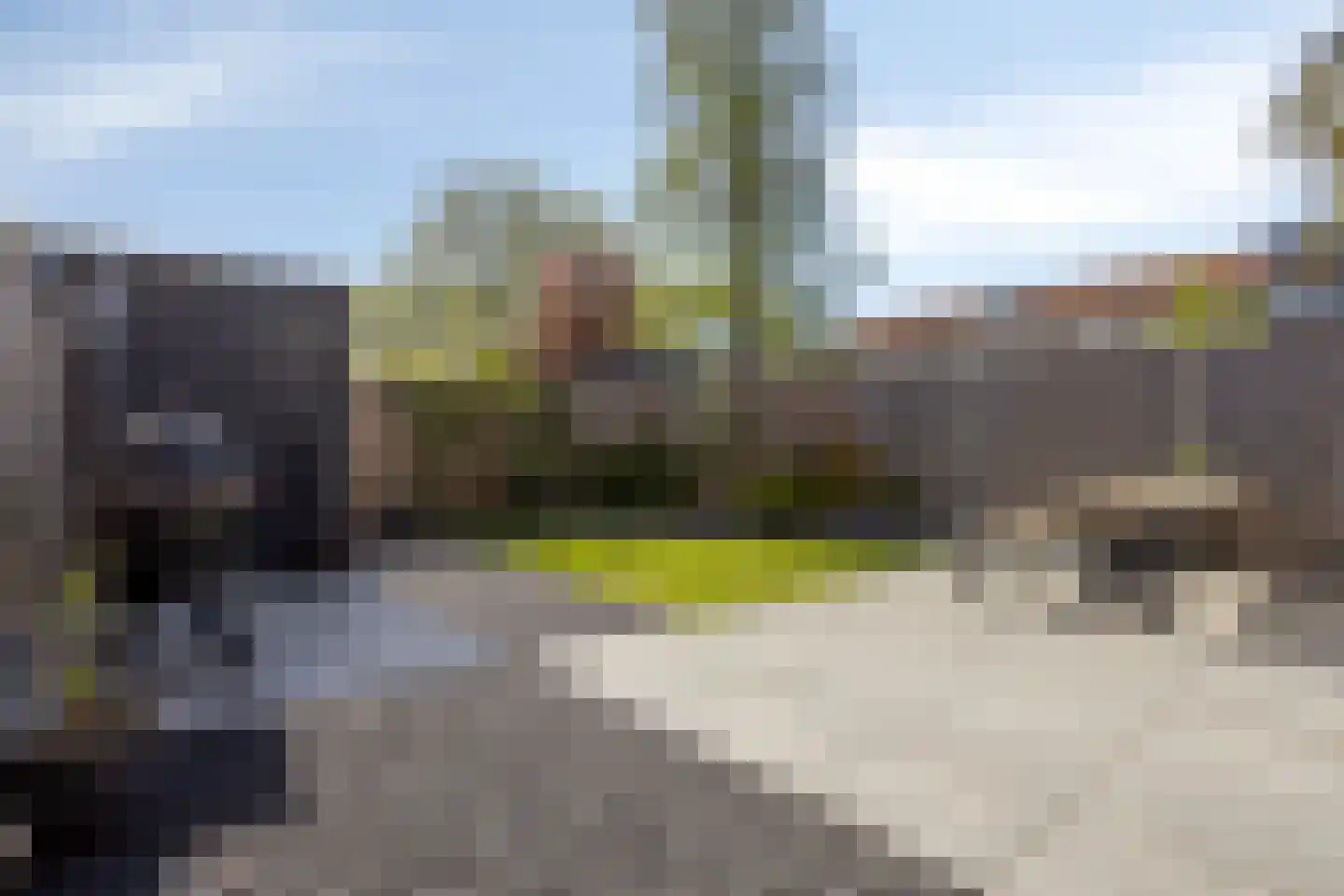Weegbree 58 Zetten thumbnail 36