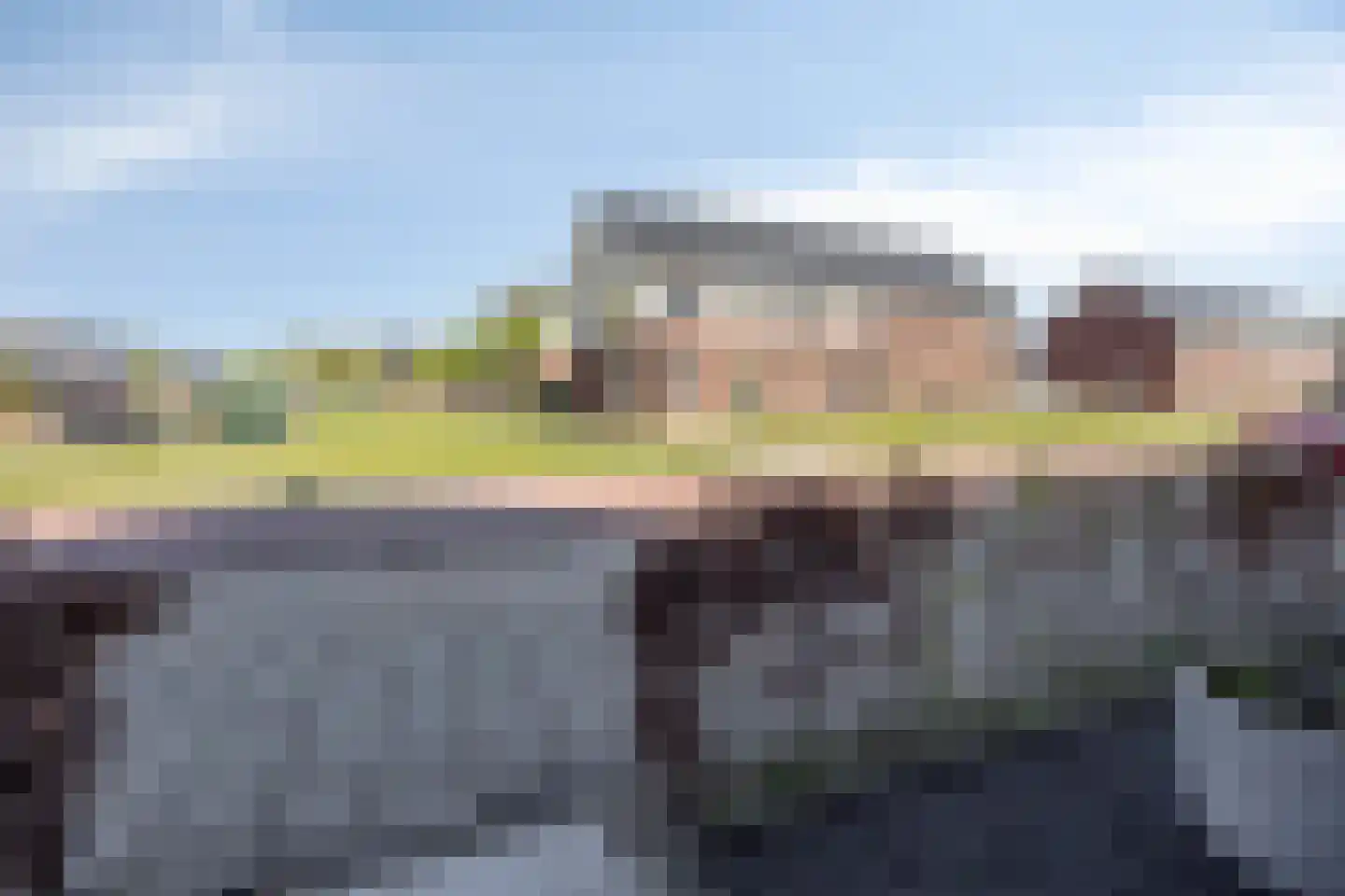 Weegbree 58 Zetten thumbnail 40