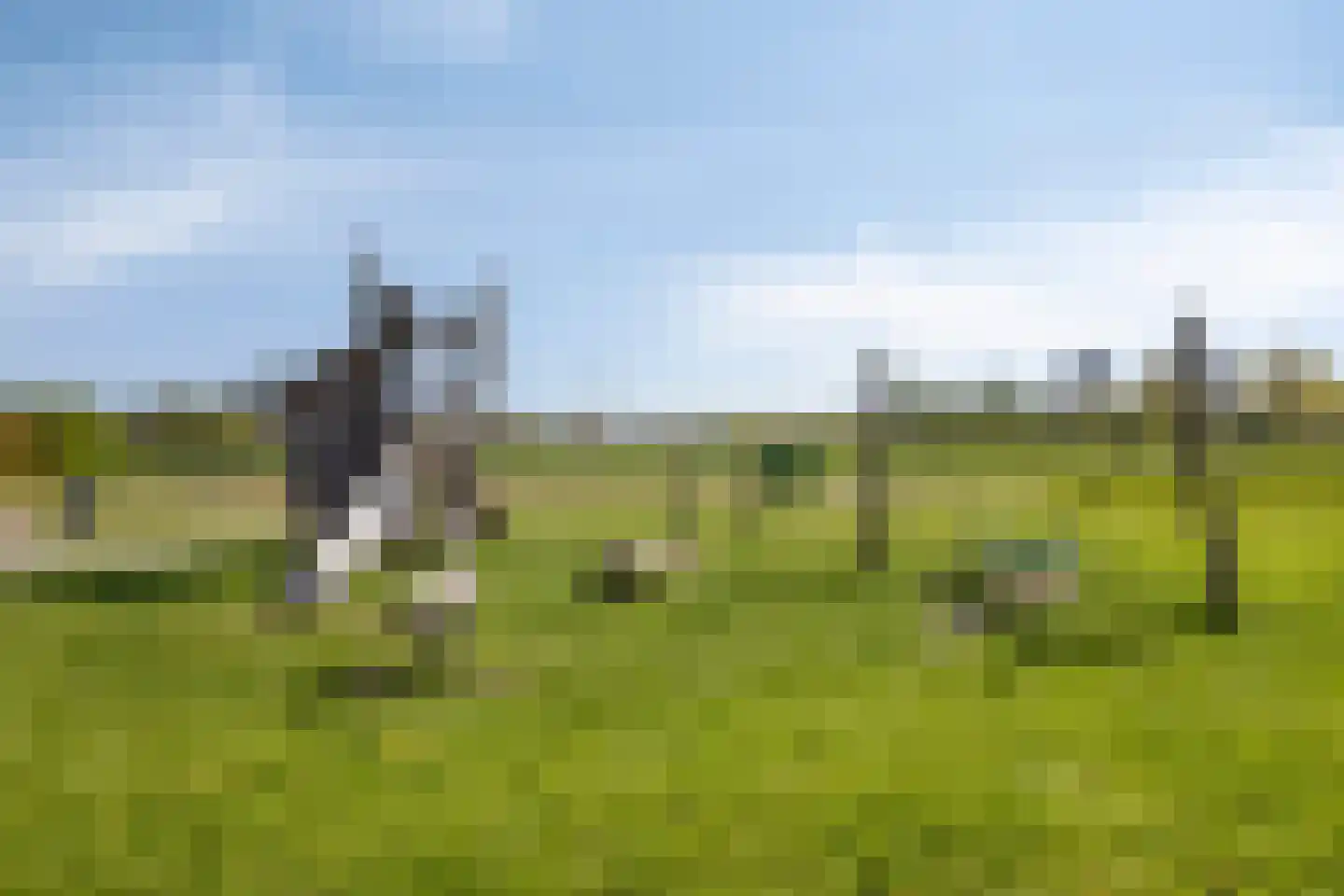 Weegbree 58 Zetten thumbnail 41