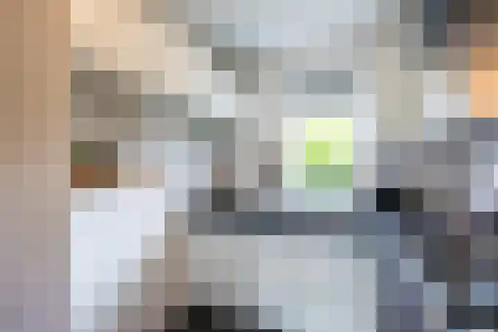 Weegbree 59 Nieuwleusen thumbnail 10