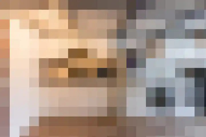 Weegbree 59 Nieuwleusen thumbnail 11