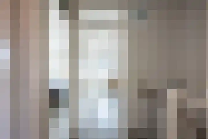 Weegbree 59 Nieuwleusen thumbnail 20