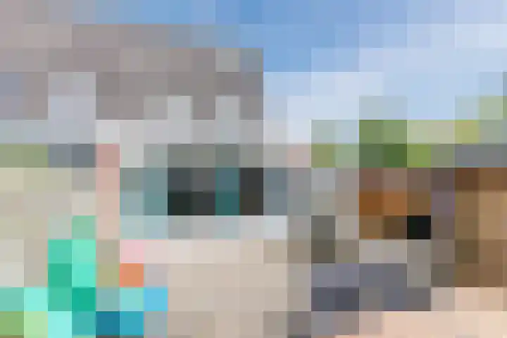 Weegbree 59 Nieuwleusen thumbnail 26