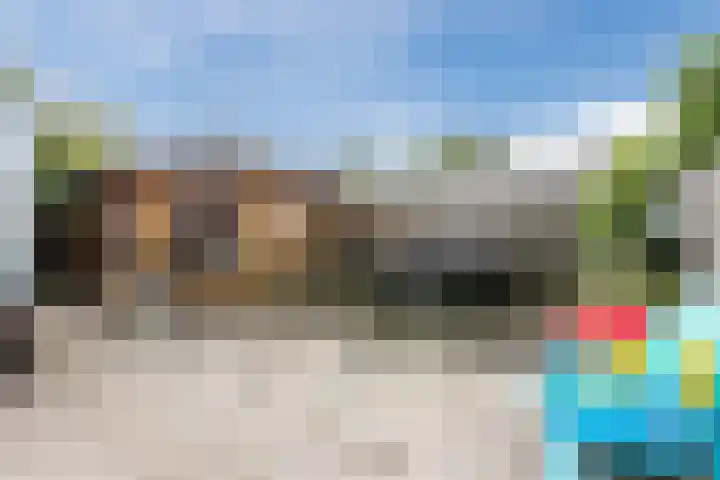 Weegbree 59 Nieuwleusen thumbnail 28