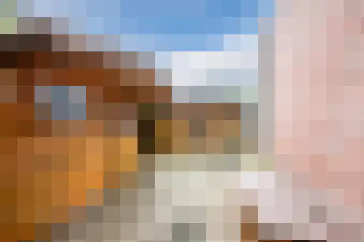 Weegbree 59 Nieuwleusen thumbnail 29