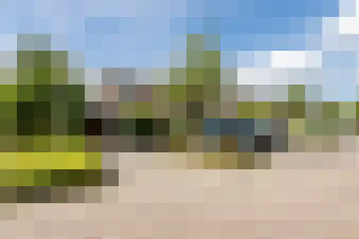 Weegbree 59 Nieuwleusen foto 3