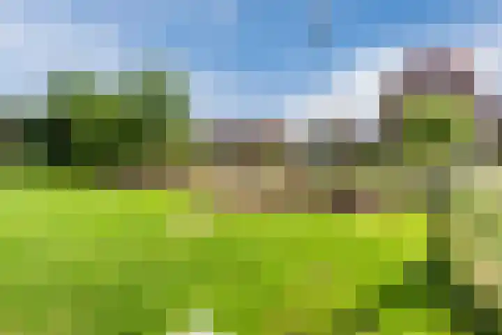 Weegbree 59 Nieuwleusen thumbnail 33