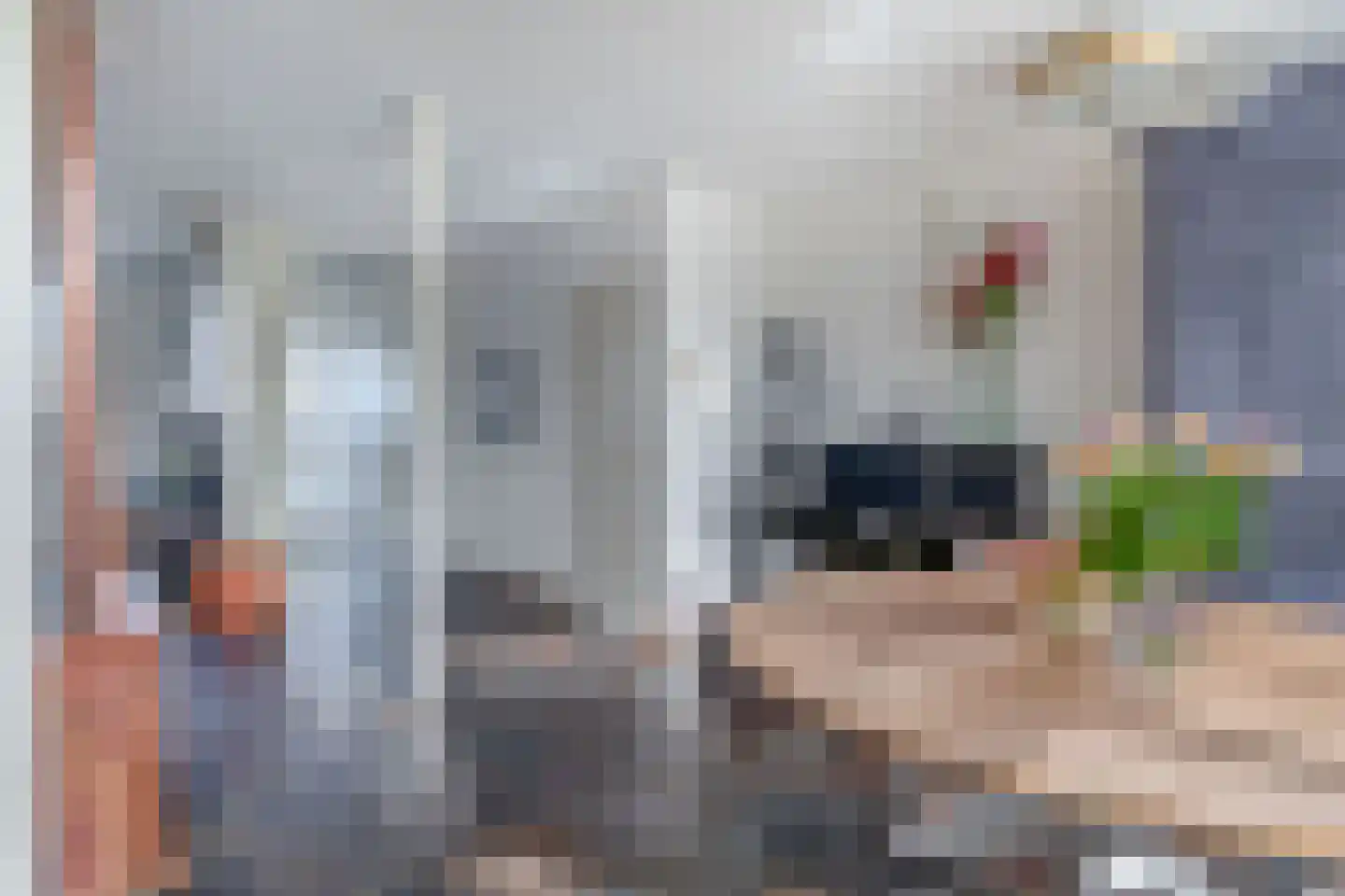 Weegbree 6 Krimpen aan den IJssel thumbnail 17