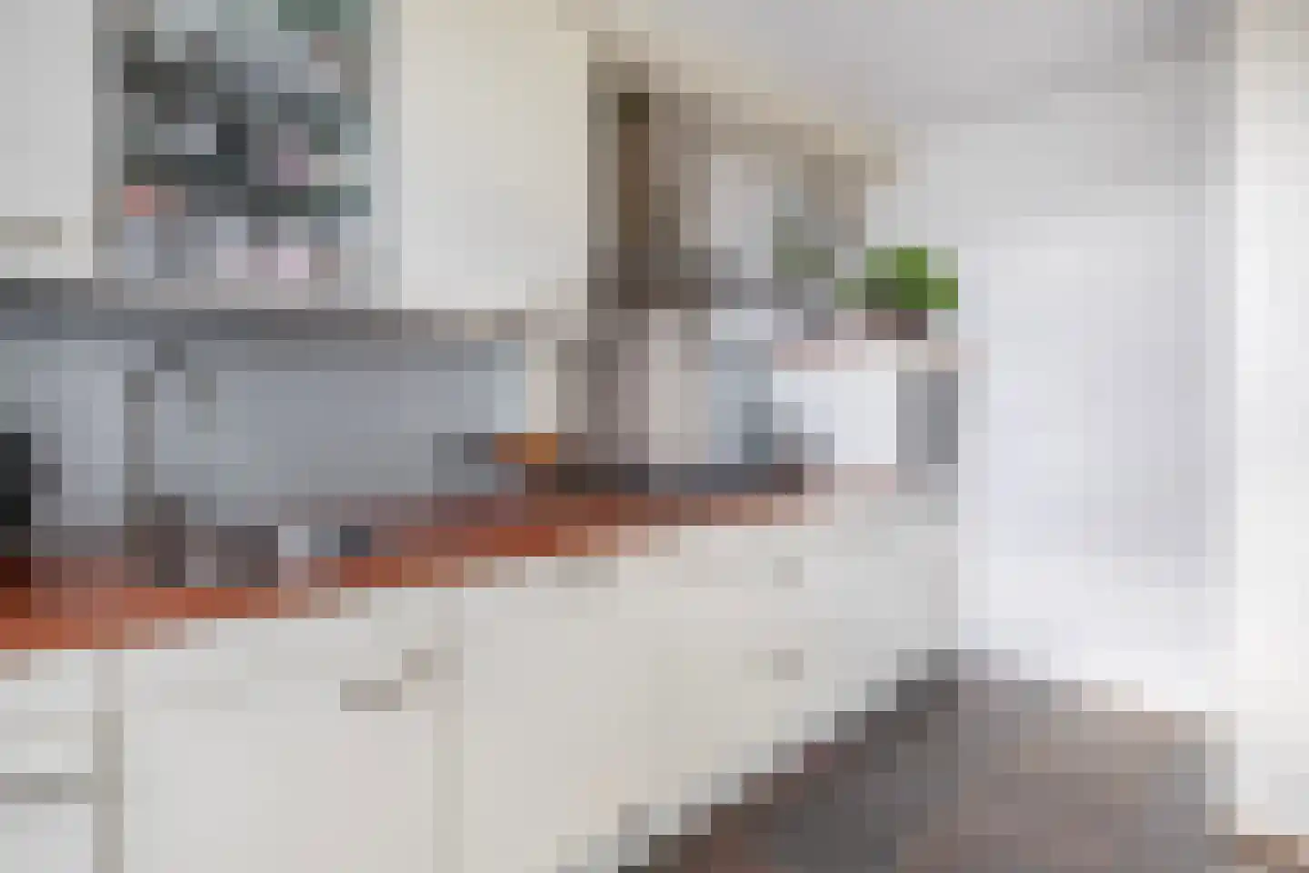 Weegbree 6 Krimpen aan den IJssel thumbnail 20