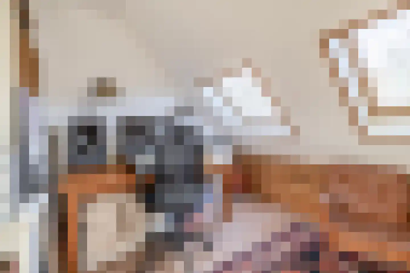 Weegbree 6 Krimpen aan den IJssel thumbnail 34