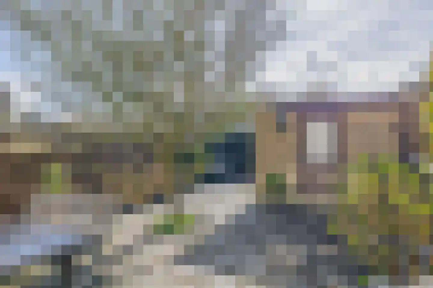 Weegbree 6 Krimpen aan den IJssel thumbnail 38