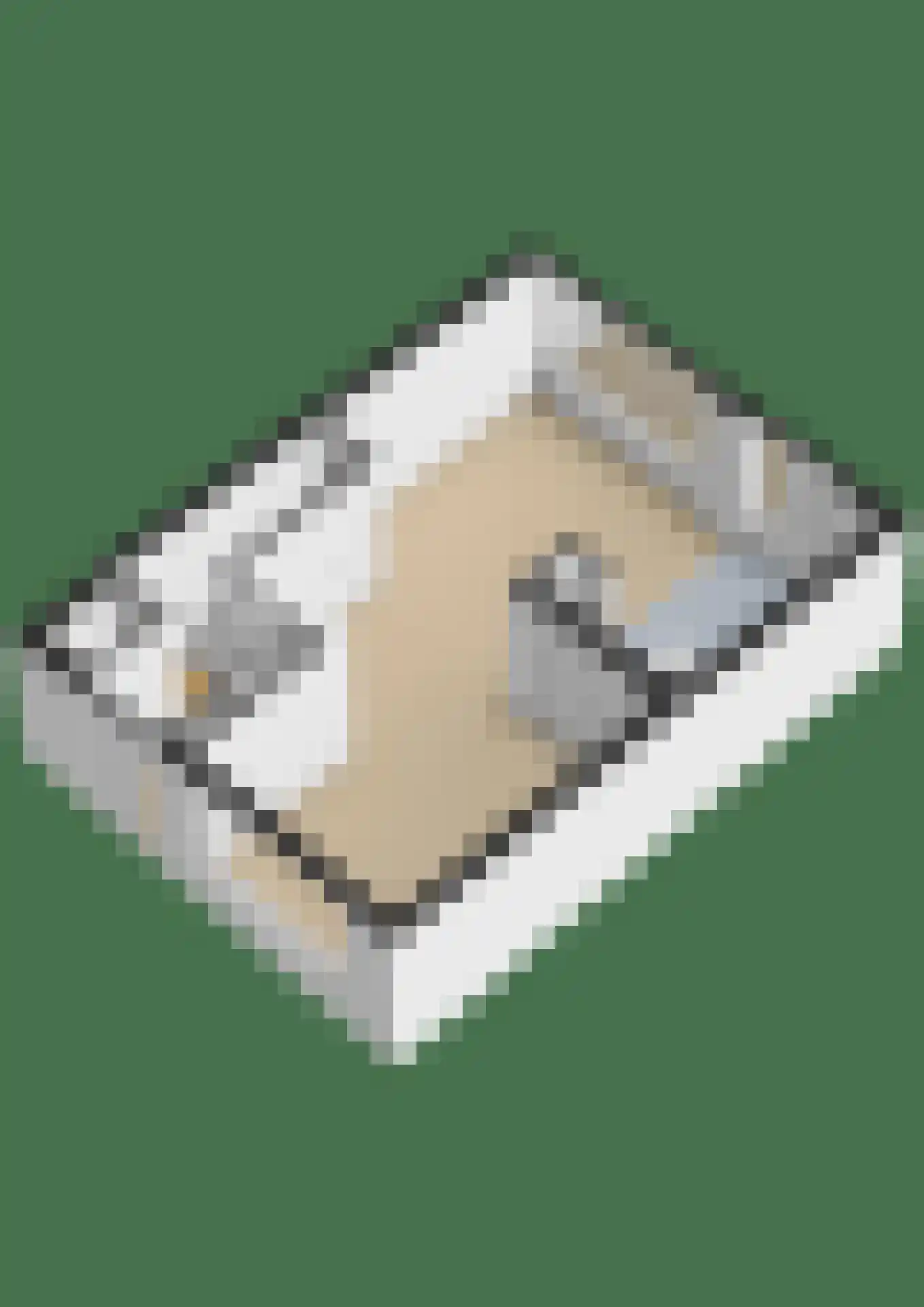 Weegbree 6 Krimpen aan den IJssel thumbnail 43